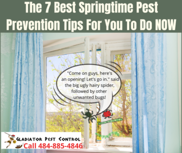 The 7 Best Springtime Pest Prevention Tips For You To Do Now